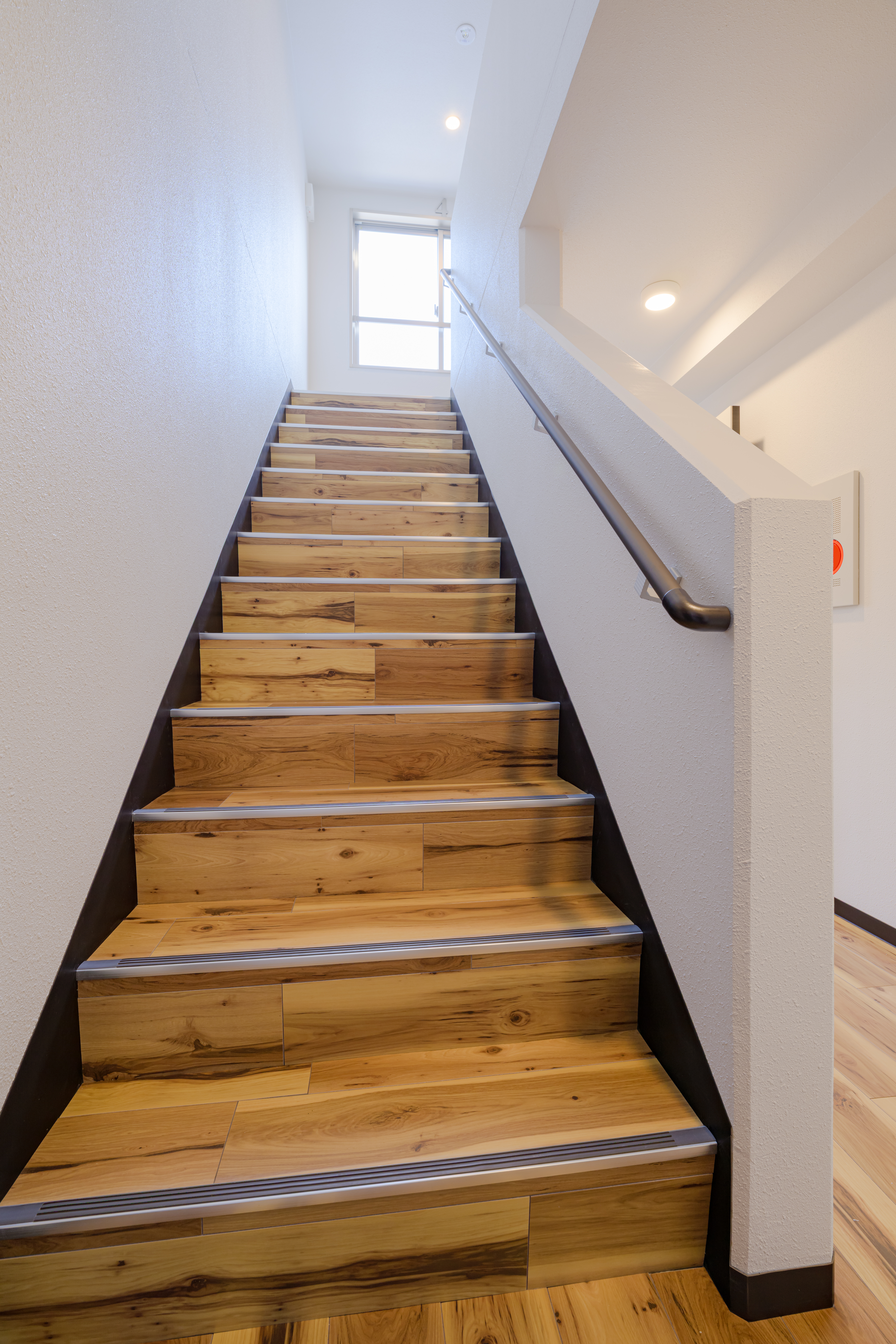 （仮称）本郷通5丁目